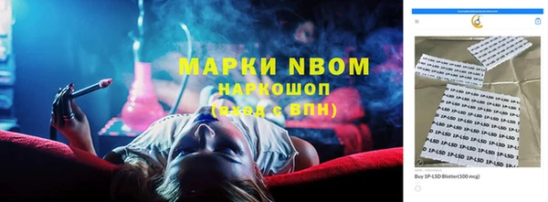 apvp Осинники