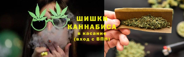 apvp Осинники