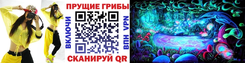 наркота  Ряжск  Галлюциногенные грибы Magic Shrooms 